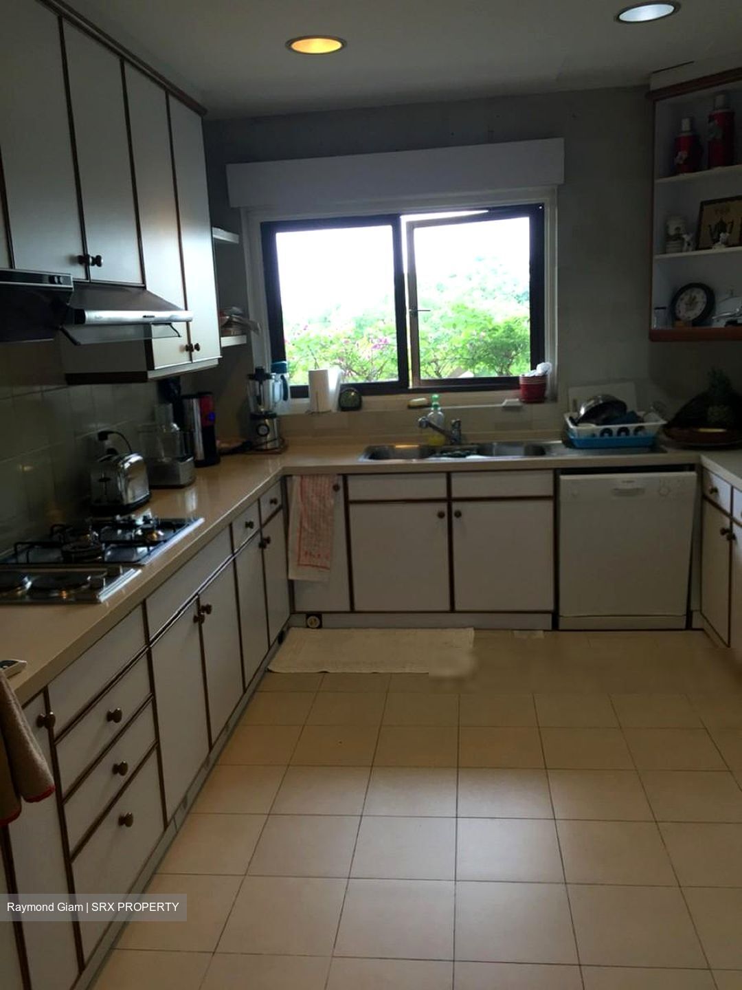 The Arcadia (D11), Condominium #301668441